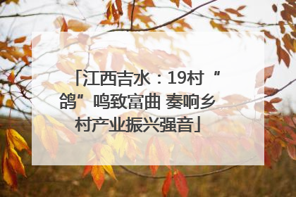 江西吉水：19村“鸽”鸣致富曲 奏响乡村产业振兴强音