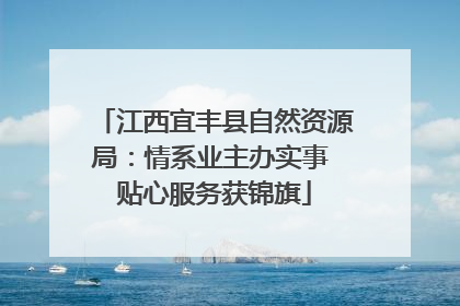江西宜丰县自然资源局：情系业主办实事 贴心服务获锦旗