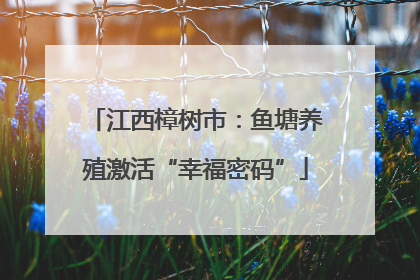 江西樟树市：鱼塘养殖激活“幸福密码”