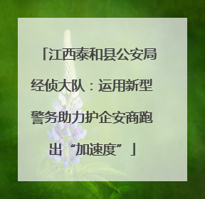 江西泰和县公安局经侦大队：运用新型警务助力护企安商跑出“加速度”