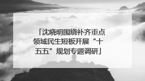 沈晓明围绕补齐重点领域民生短板开展“十五五”规划专题调研