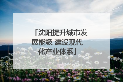 沈阳提升城市发展能级 建设现代化产业体系