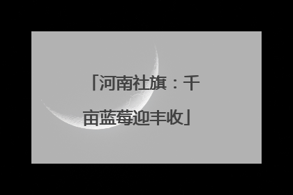 河南社旗：千亩蓝莓迎丰收