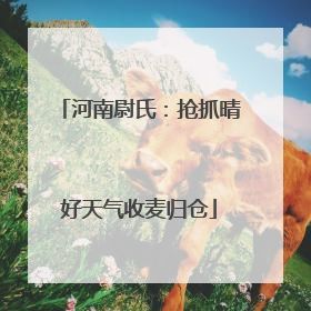 河南尉氏：抢抓晴好天气收麦归仓