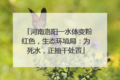 河南洛阳一水体变粉红色，生态环境局：为死水，正抽干处置