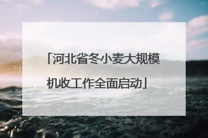 河北省冬小麦大规模机收工作全面启动