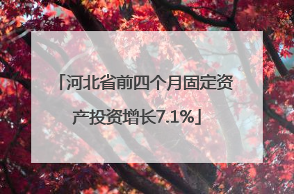 河北省前四个月固定资产投资增长7.1%