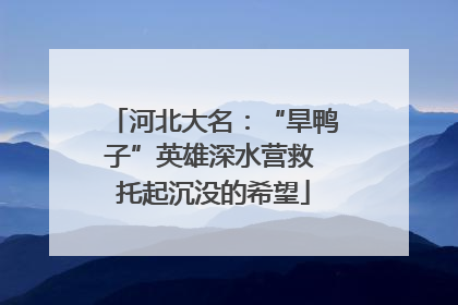 河北大名：“旱鸭子”英雄深水营救 托起沉没的希望