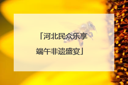 河北民众乐享端午非遗盛宴