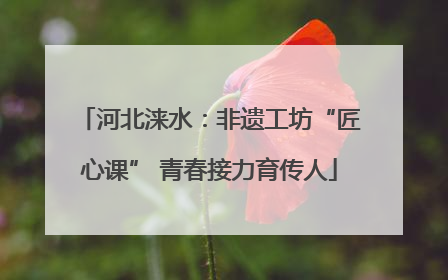 河北涞水：非遗工坊“匠心课” 青春接力育传人