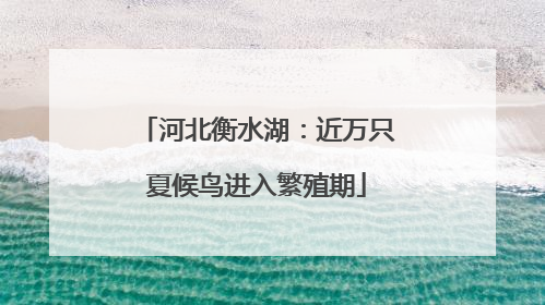 河北衡水湖：近万只夏候鸟进入繁殖期