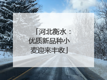 河北衡水：优质新品种小麦迎来丰收