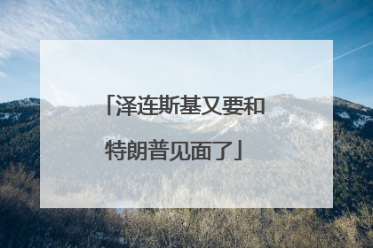 泽连斯基又要和特朗普见面了