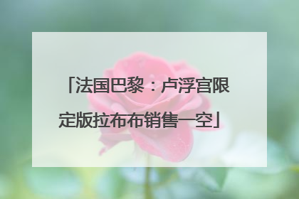 法国巴黎：卢浮宫限定版拉布布销售一空