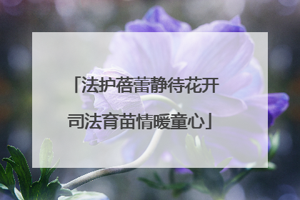 法护蓓蕾静待花开 司法育苗情暖童心