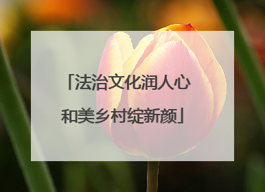 法治文化润人心 和美乡村绽新颜