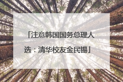 注意韩国国务总理人选：清华校友金民锡