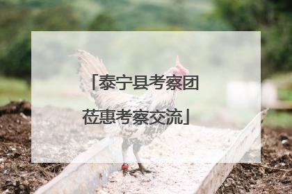 泰宁县考察团莅惠考察交流