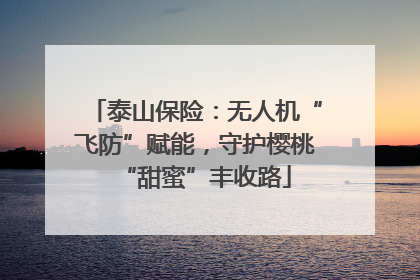 泰山保险：无人机“飞防”赋能，守护樱桃“甜蜜”丰收路