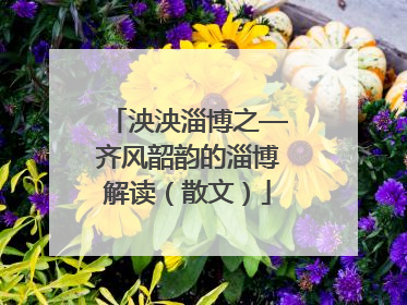 泱泱淄博之—齐风韶韵的淄博解读（散文）