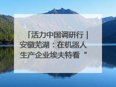 活力中国调研行｜安徽芜湖：在机器人生产企业埃夫特看“中国智造”