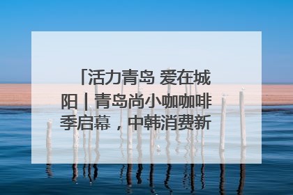 活力青岛 爱在城阳｜青岛尚小咖咖啡季启幕，中韩消费新场景点燃夏日热情