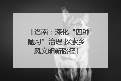 洛南：深化“四种陋习”治理 探索乡风文明新路径