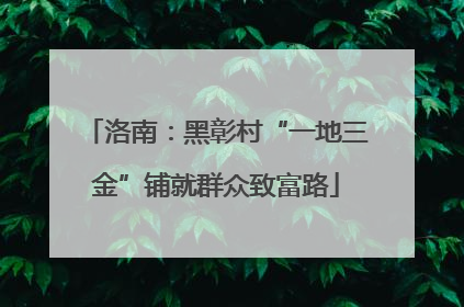 洛南：黑彰村“一地三金”铺就群众致富路