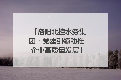 洛阳北控水务集团：党建引领助推企业高质量发展