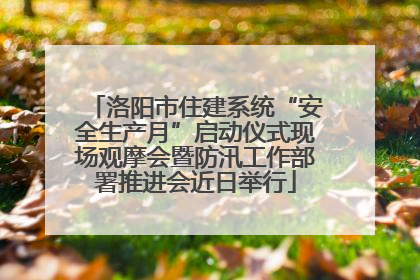洛阳市住建系统“安全生产月”启动仪式现场观摩会暨防汛工作部署推进会近日举行