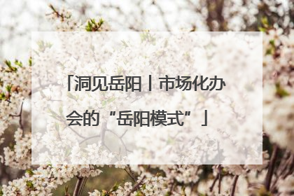 洞见岳阳丨市场化办会的“岳阳模式”