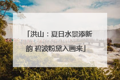 洪山：夏日水景添新韵 碧波粉黛入画来