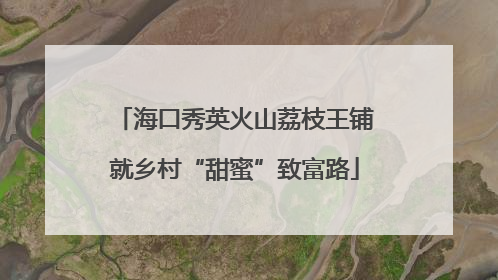 海口秀英火山荔枝王铺就乡村“甜蜜”致富路