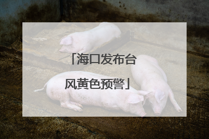 海口发布台风黄色预警
