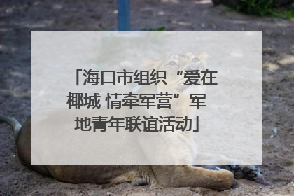 海口市组织“爱在椰城 情牵军营”军地青年联谊活动
