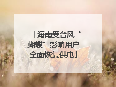 海南受台风“蝴蝶”影响用户全面恢复供电