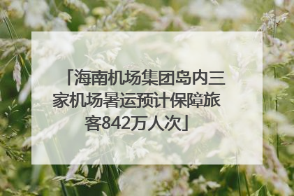 海南机场集团岛内三家机场暑运预计保障旅客842万人次