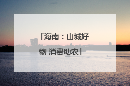海南：山城好物 消费助农