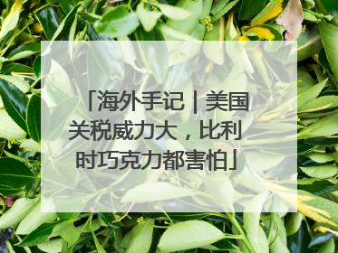 海外手记｜美国关税威力大，比利时巧克力都害怕