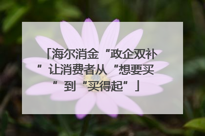 海尔消金“政企双补”让消费者从“想要买”到“买得起”