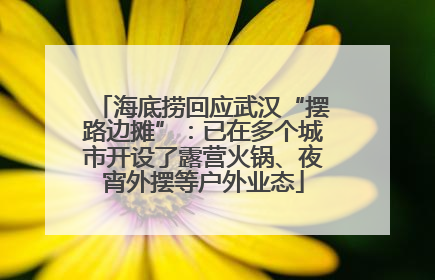 海底捞回应武汉“摆路边摊”：已在多个城市开设了露营火锅、夜宵外摆等户外业态