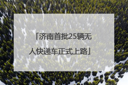 济南首批25辆无人快递车正式上路
