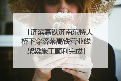 济滨高铁济南东特大桥下穿济莱高铁营业线架梁施工顺利完成