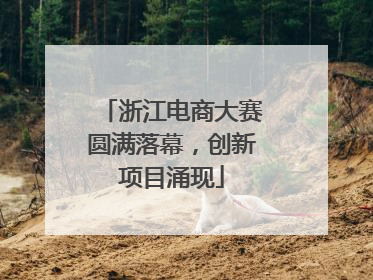 浙江电商大赛圆满落幕，创新项目涌现