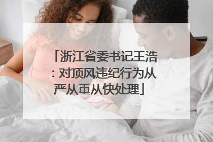 浙江省委书记王浩：对顶风违纪行为从严从重从快处理