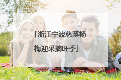 浙江宁波慈溪杨梅迎采摘旺季
