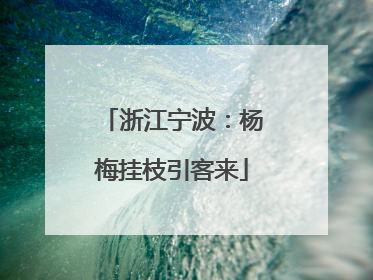浙江宁波：杨梅挂枝引客来