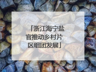 浙江海宁盐官推动乡村片区组团发展