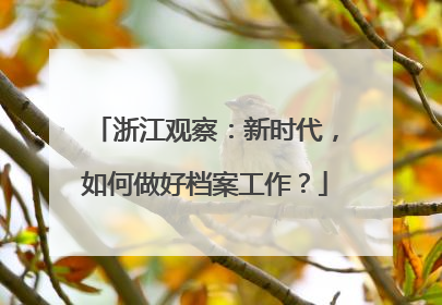 浙江观察：新时代，如何做好档案工作？