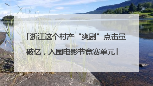 浙江这个村产“爽剧”点击量破亿，入围电影节竞赛单元